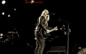 Melissa Etheridge(3)